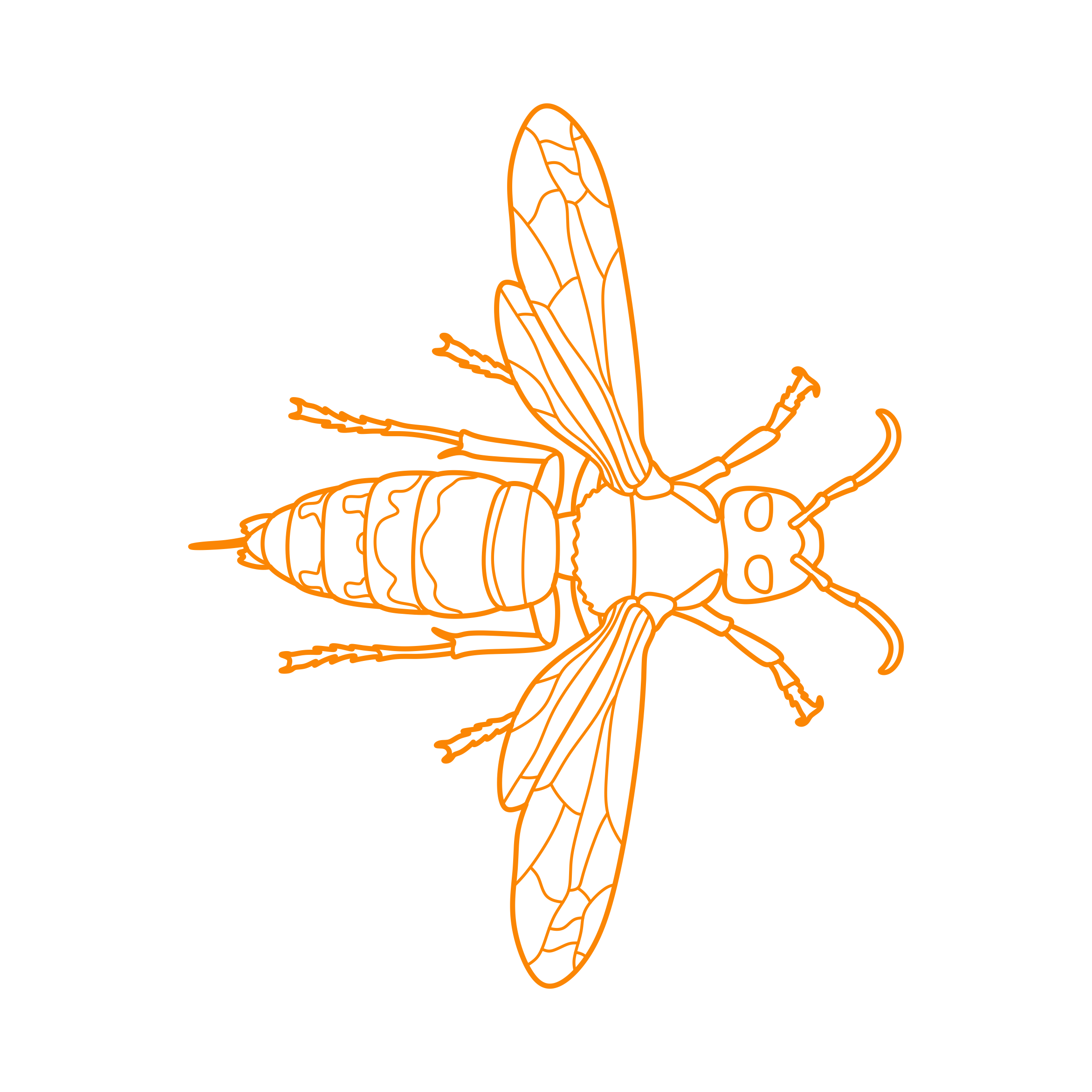 Animals Insects European Hornet Outline Icon Svg Set Free Vectors